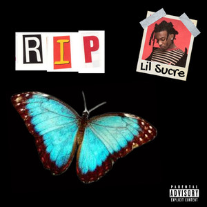 中国肏屄视频三级片
