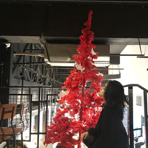 中国肏屄视频三级片
